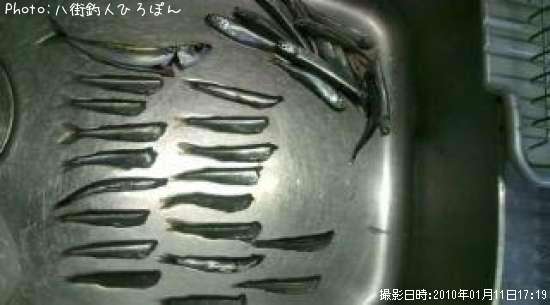 �����ȥ����������亮����������