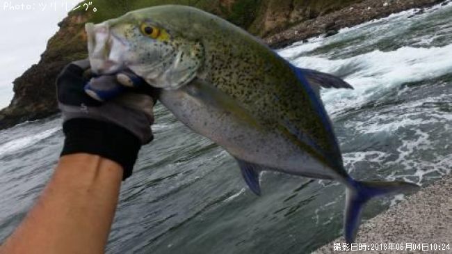 �����ߥ���