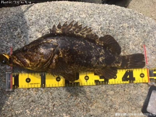 �����Υ���Х�