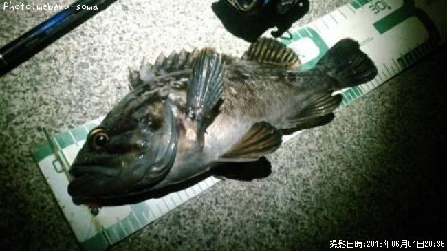 ��������