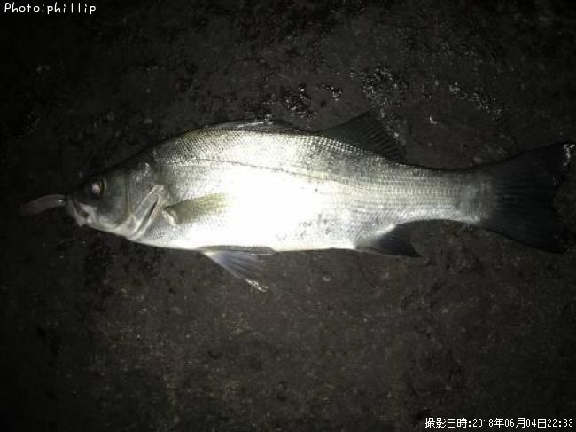 �ҥ饻����