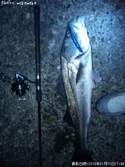 �����Х�