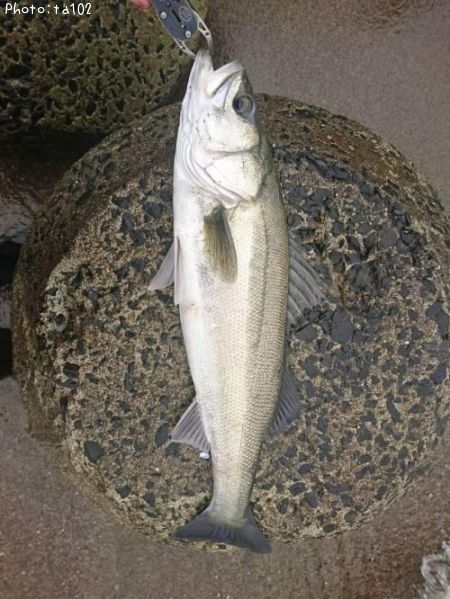 �����Х�