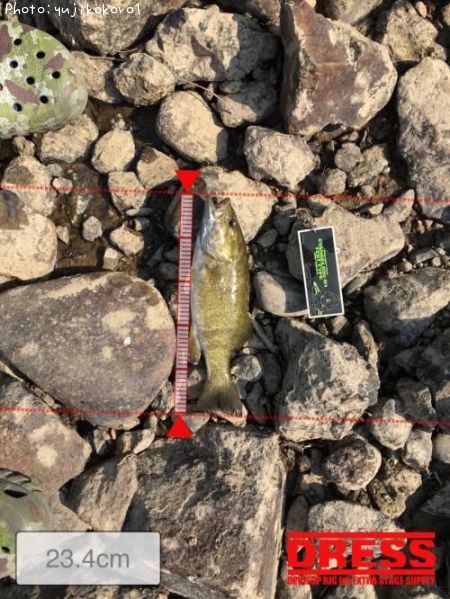 �֥�å��Х�