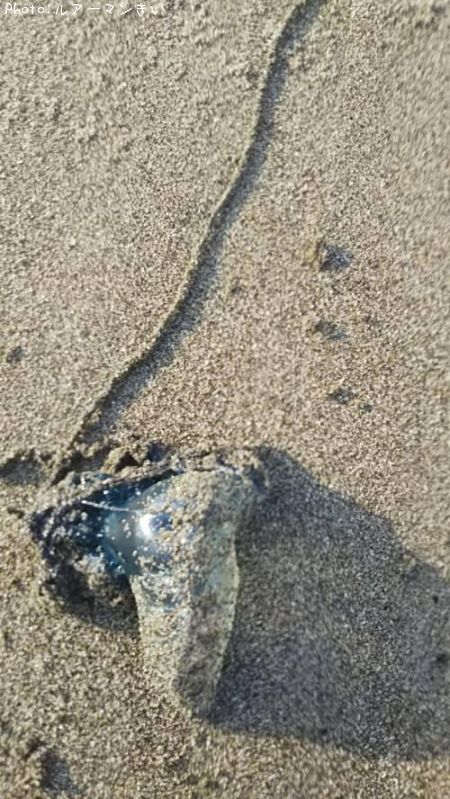 ���ĥ��Υ��ܥ�