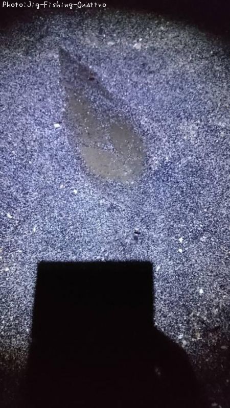 �����ӥ��