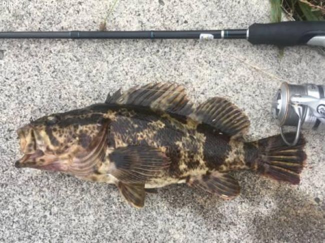 �����Υ���Х�