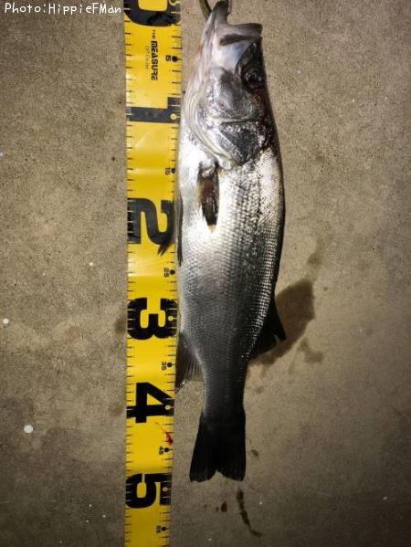 �ҥ饹����