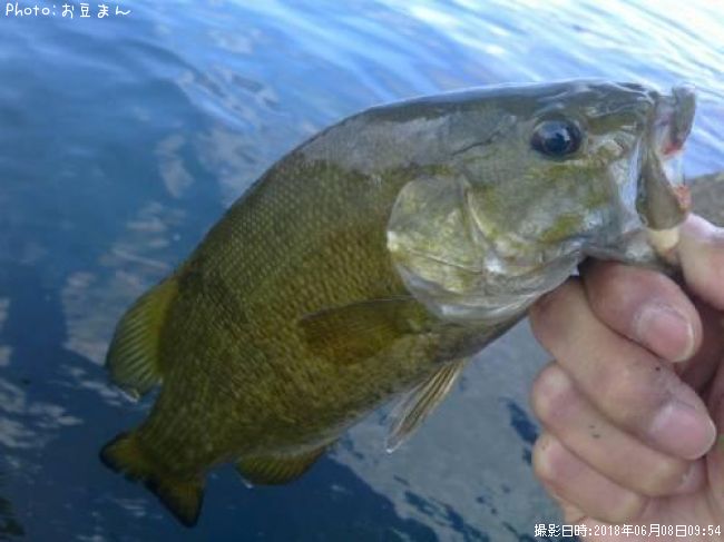 ���⡼��ޥ���