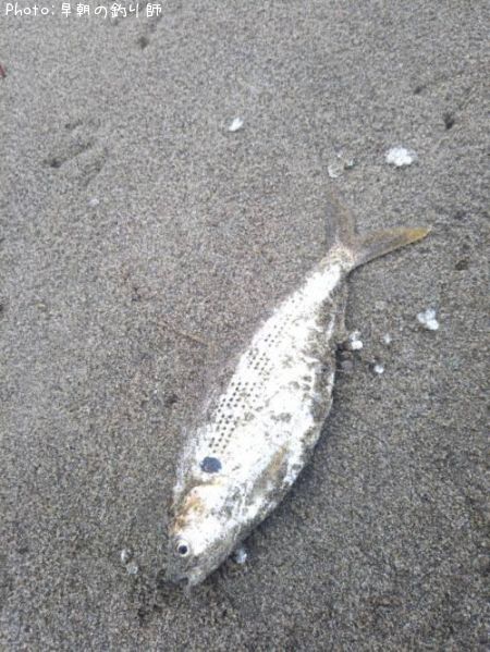 ���Υ���