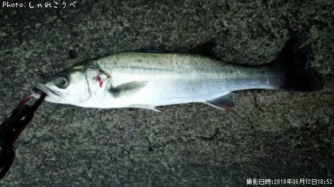 �����Х�