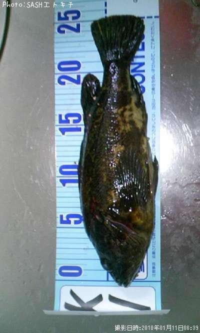 �����Υ���Х�