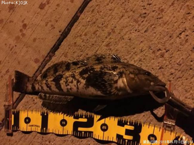 �����ʥ�