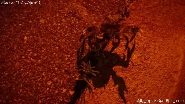 �⥯������