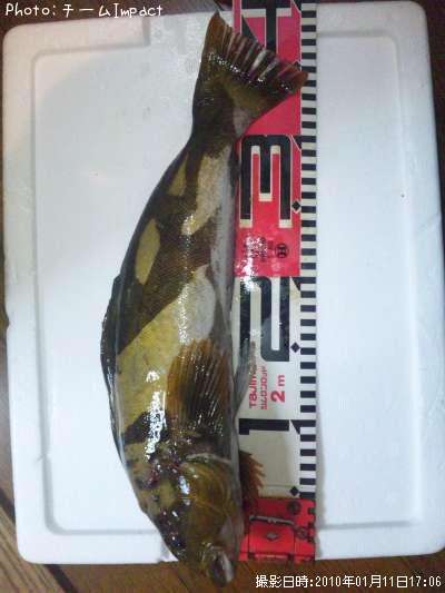 �����ʥ�