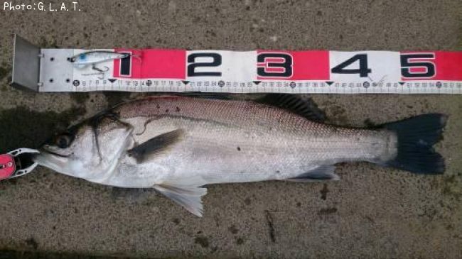 �����Х�