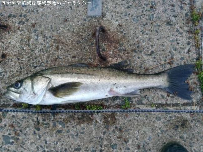 �����Х�