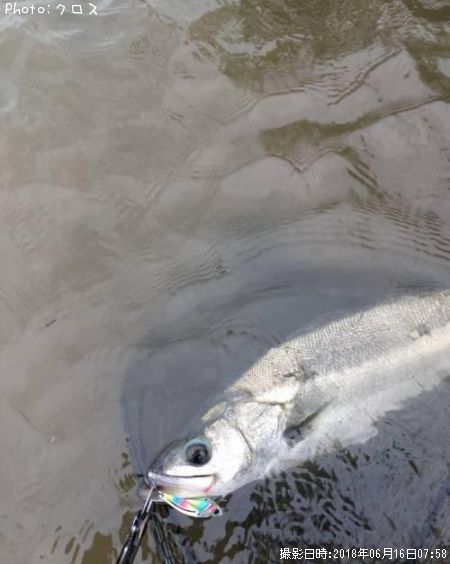 �����Х�