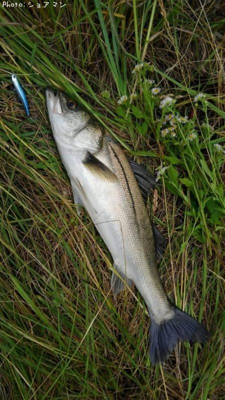 �����Х�