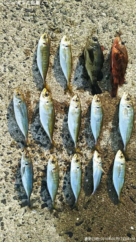 ��������Х롢������