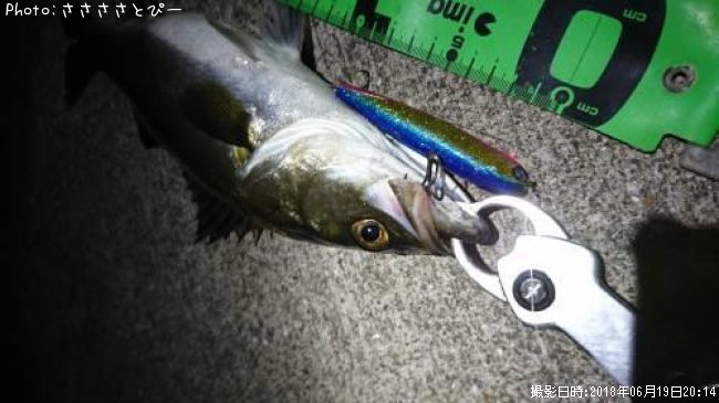 �����Х�