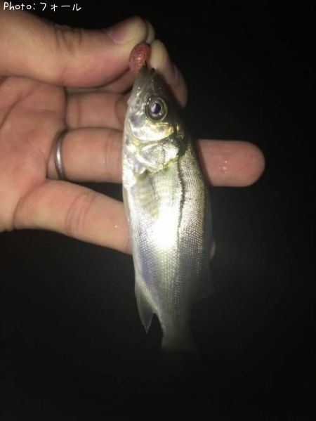 �����Х�