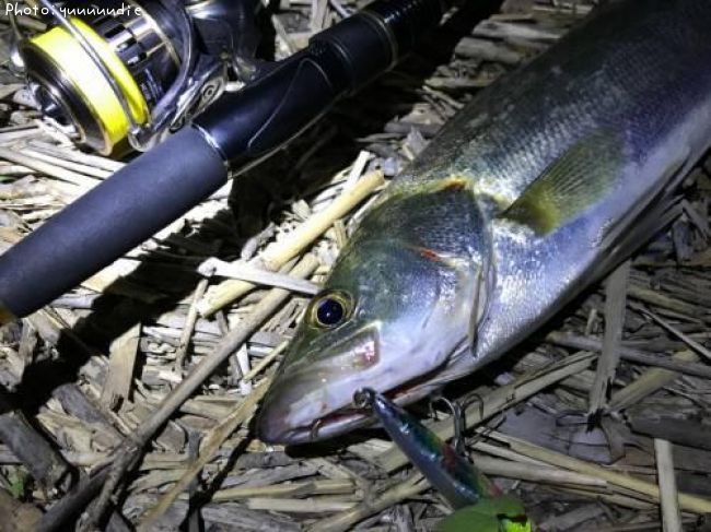 �����Х�