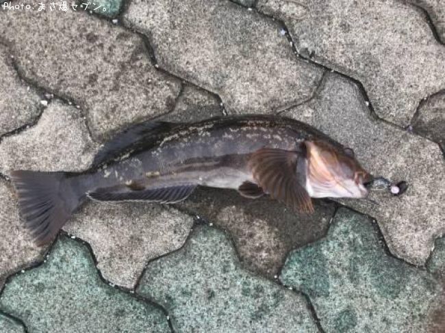 �����ʥ�