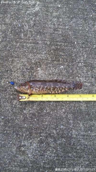 �����ʥ�