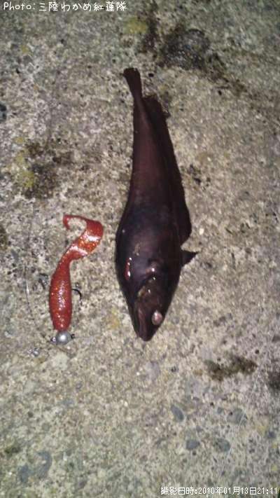 �������������ʥ�