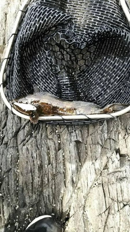 �����ʥ�