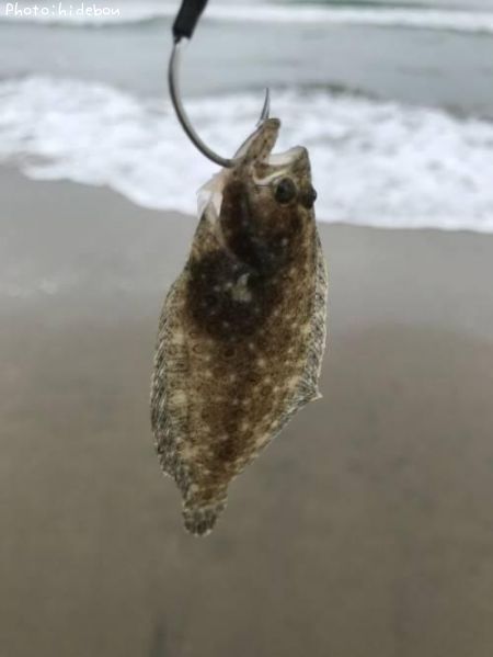 �ҥ����֤����