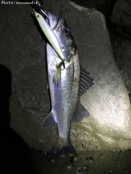 �����Х�