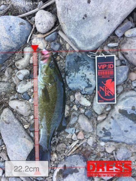 �֥�å��Х�