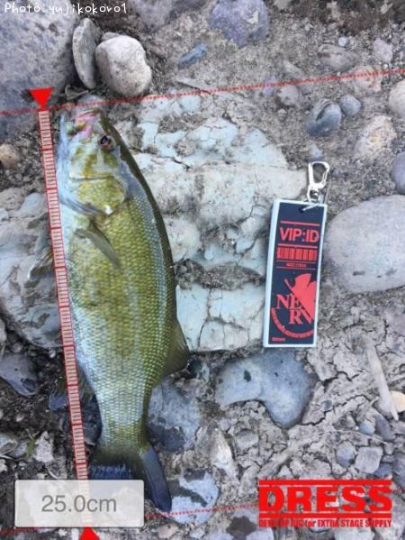 �֥�å��Х�