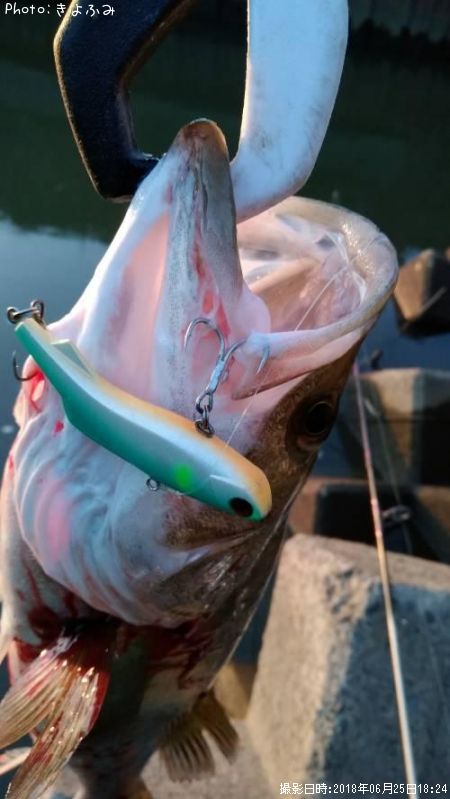 �����Х�