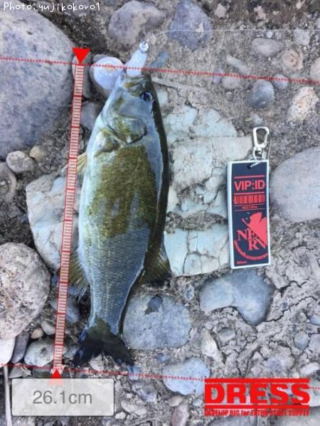 �֥�å��Х�