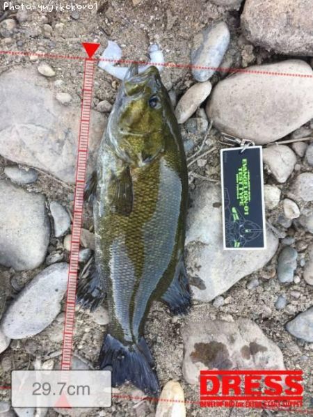 �֥�å��Х�