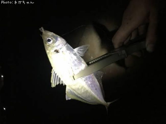 ����