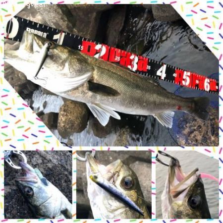 �����Х�