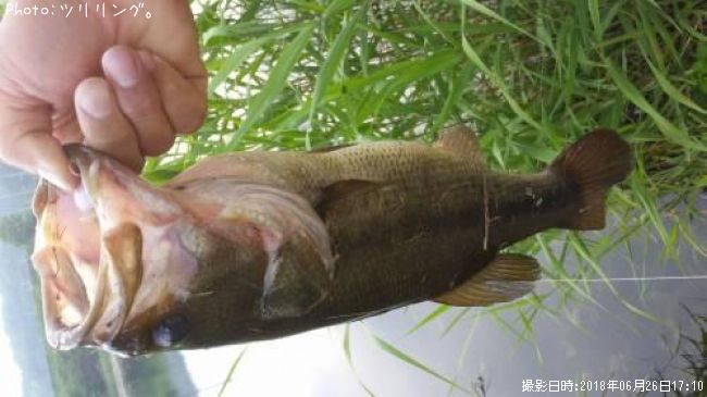 �֥�å��Х�