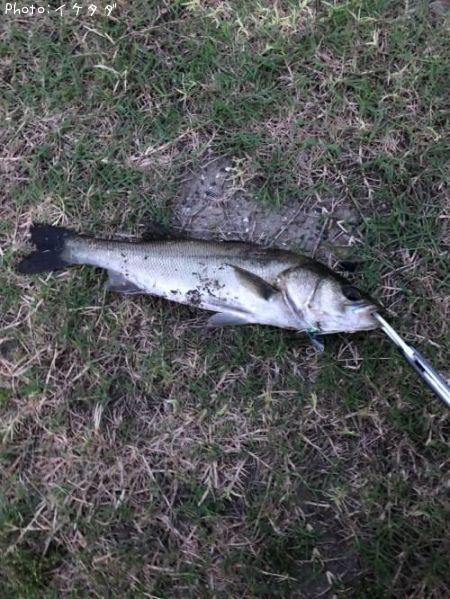 �����Х�