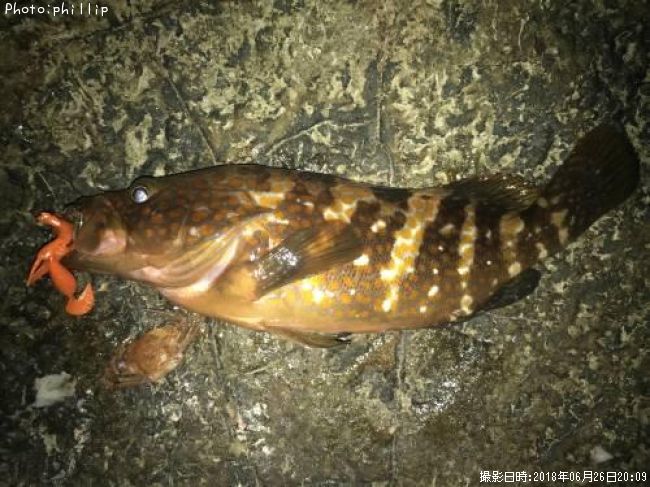 �����ϥ�