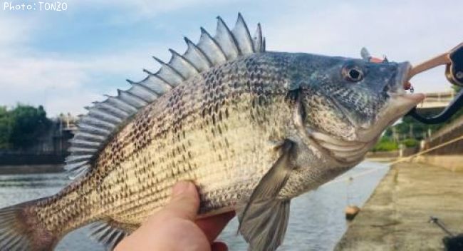 ����