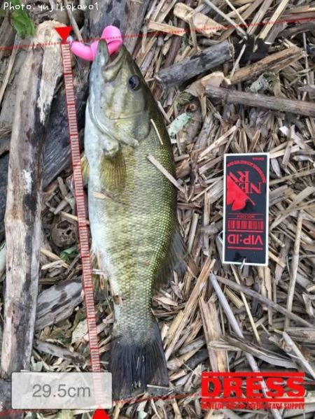 �֥�å��Х�