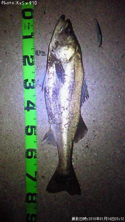 �����Х�