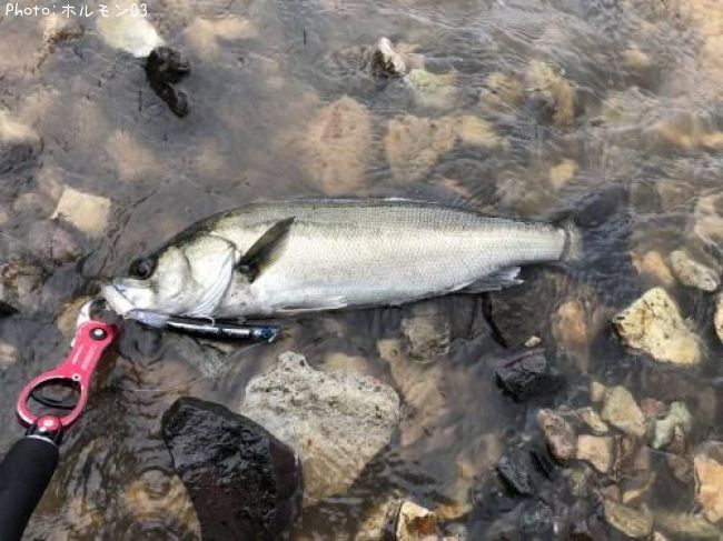 �����Х�