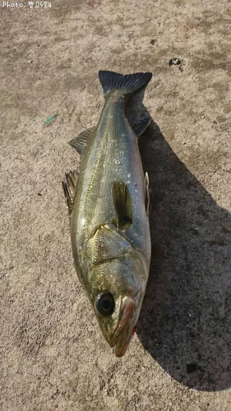 �����Х�