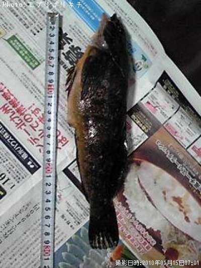 �����ʥ�