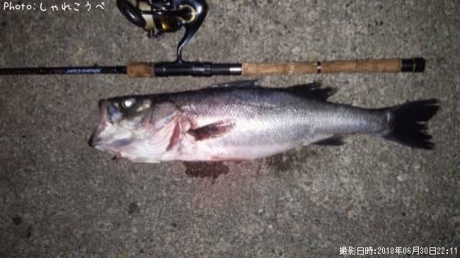 �����Х�